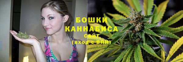 трава Инта