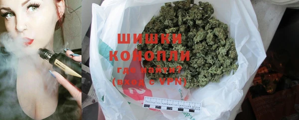 трава Инта