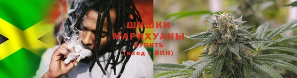 трава Инта