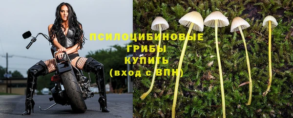 метамфетамин Каменка