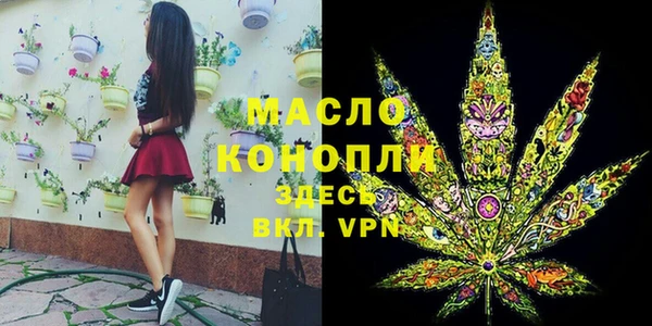 твердый Иннополис