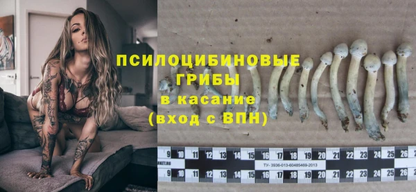 твердый Иннополис