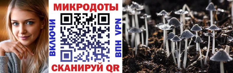 Купить где Покачи Галлюциногенные грибы Cubensis